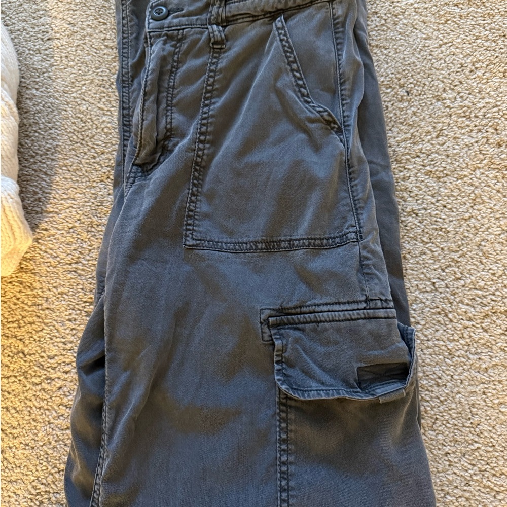 American Eagle Outfitters Dark Gray Cargo Pants (2 Long)